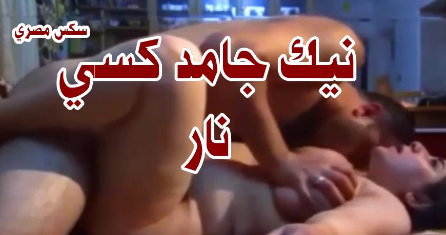 تنزيل افلام سكس مصري – نازل فشخ فى جارتة الشرموطة